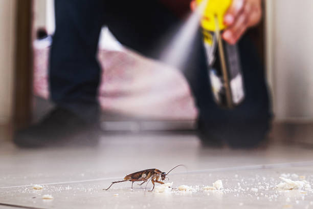 Best Mosquito Control Services  in Carl Junction, MO