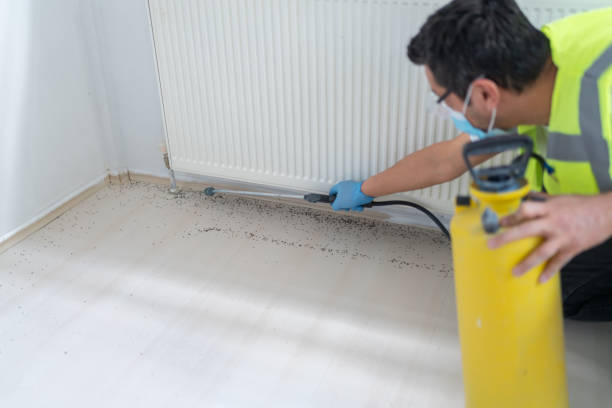 Best Commercial Pest Control Services  in Carl Junction, MO